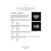 Image 5 : 5.91 ctw Diamond Ring - 14KT White Gold
