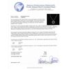 Image 3 : 14KT White Gold 196.43 ctw Sapphire Necklace