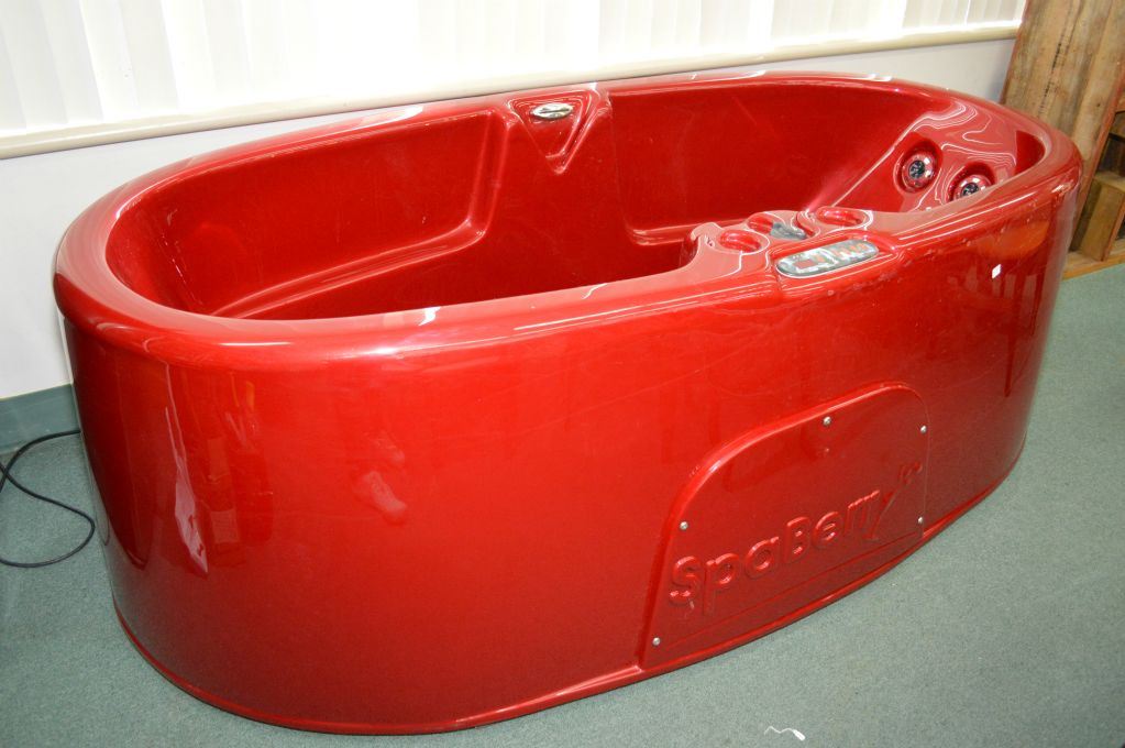 Spaberry 3 1 Strawberry Two Person Hot Tub 110 Volt Portable