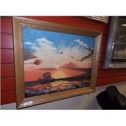 FRAMED PICTURE - HAWK OF VALLEY