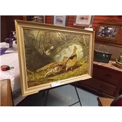 FRAMED VINTAGE PRINT ON BOARD  - PUFFED GROUSE - ARTHUR FITZWILLIAM TAIT( 1819-1905) - SOME BULGING 