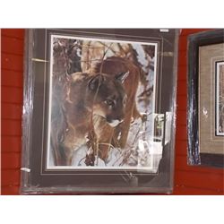 FRAMED LIMITED EDITION - ICY WHISKERS - LESLEY HARRISON - GALLERY ESTIMATE $625