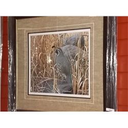 FRAMED LIMITED EDITION - GOLDEN GRASSES - CALIFORNIA QUAIL - GALLERY ESTIMATE $475
