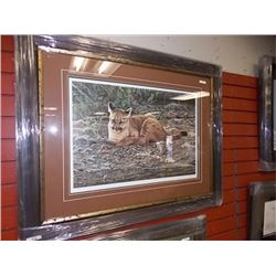 FRAMED LIMITED EDITION - STICKS & STONES - YOUNG COUGARS - A CASEY - GALLERY ESTIMATE $725