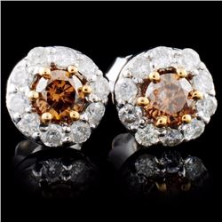 14K White Gold 0.91ctw Fancy Color Diamond Earring