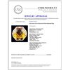Image 5 : 14K Gold 14.51ct Citrine & 0.47ctw Diamond Ring