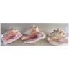 Image 1 : SET OF 3 CONCHES