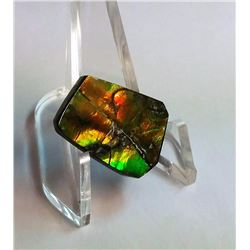21MM X 10MM AMMOLITE GEMSTONE