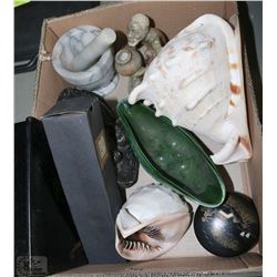 FLAT WITH COLLECTIBLE LARGE SEASHELL, SIGNED