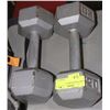 Image 1 : PAIR OF 20LB DUMBBELLS