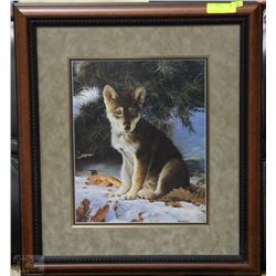 WOLF PUP FRAMED PRINT BY BOB TRAVERS #328/500