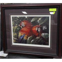 "SCARLET MACAW PAIR" JOHN SEEREY-LESTER (1995)