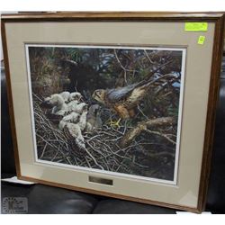 "MERLINS AT THE NEST" CARL BRENDERS (1984) SIGNED
