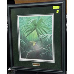 "UNDER THE CANOPY" TOUCAN BY ROBERT BATEMAN (1996)