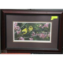 "GLEAM OF GOLD" GOLDFINCH CARL BRENDERS (2001)