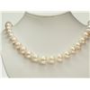Image 1 : #30-STERLING SILVER FRESHWATER PEARL NECKLACE
