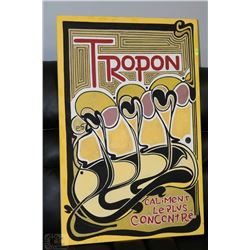 TROPON ART CANVAS PAINTING