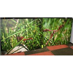 2 DRAGON FLY PICTURES 24"X30" EACH