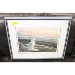 26" X 22" ARCTIC FOX BY LISA CALVERT 1562/1875