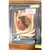 Image 1 : BOBBY HULL GUARANTEED AUTHENTIC AUTOGRAPH