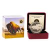 Image 1 : 2013 $100 Bison Stampede Fine Silver Coin