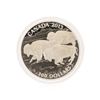 Image 2 : 2013 $100 Bison Stampede Fine Silver Coin