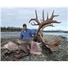 Image 1 : Alaska Moose and Caribou Combo Hunt for One Hunter (Air Charter Service)