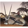 Image 1 : 12-day African Plains Game Hunt for Two Hunters -- Includes $3,000 Credit for Trophy Fees