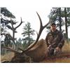 Image 1 : 5-day New Mexico Elk, Mule Deer, & Black Bear Archery Combo Hunt for Two Hunters
