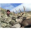 Image 1 : 5-day New Mexico Trophy Mule Deer Rifle Hunt for Two Hunters