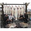 Image 1 : 1-full Day Alaska Halibut Fishing Charter and 2-night Lodging at Seward Military Resort