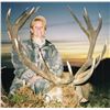 Image 1 : 5-Day New Zealand Red Stag and Fallow Buck Hunt for Two Hunters