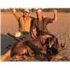 Image 1 : 8-day South African Plains Game Hunt for Four Hunters -- Includes 12 Trophies