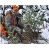 Image 1 : 5-day Montana Whitetail or Mule Deer November Rut Hunt for One Hunter