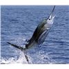Image 1 : 6-day/5-night Belize Fishing Trip and Diving Combination Trip for Two People