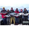 Image 1 : 1-full day Alaskan Guided Fishing Charter for Twelve Anglers