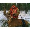 Image 1 : 5-day Montana Whitetail or Mule Deer November Rut Hunt for One Hunter