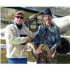 Image 3 : Alaska Dall Sheep Hunt for One Hunter (Air Charter Service)