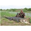 Image 1 : 3-day Florida Alligator Hunt for One Hunter