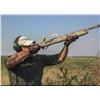 Image 1 : 4-day/3-night Argentina High Volume Dove Shoot for Two Hunters