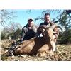 Image 1 : 3-day Texas Exotic Big Game Hunt for Two Hunters