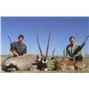 Image 1 : 7-day South African Plains Game Hunt for 2 Hunters