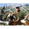 Image 1 : 5-day/6-night European Mouflon Sheep for One Hunter and One Observer or Two Hunters