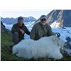 Image 1 : 7-day Alaska Mountain Goat Hunt for One Hunter (Residents Only)