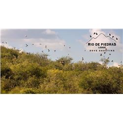 4-day/3-night Argentina Dove Hunt for Four Shooters