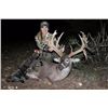 Image 1 : 3-day/2-night Texas Whitetail Deer & Exotic Combo Hunt for 2 Hunters -- $6,000 Credit Towards Trophy