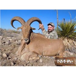 5-day New Mexico Aoudad Rifle Hunt for Two Hunters