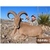 Image 1 : 5-day New Mexico Aoudad Rifle Hunt for Two Hunters