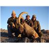 Image 1 : 5-day Mongolian Ibex hunt for one hunter