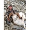 Image 1 : 9-day Fully Guided Alaska Dall Sheep Hunt in Tok Management Area for One Alaska Resident Hunter
